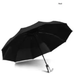 Parapluie anti-UV noir ouvert, 10 baleines, design élégant et robuste, idéal contre la pluie et le soleil, [Collection]