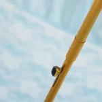 Parapluie canne élégant avec mécanisme doré, design raffiné, idéal pour un style chic et fonctionnel. Collection exclusive.