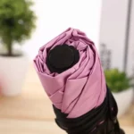 Parapluie femme coloré rose plié avec bord noir, posé sur bois, plantes vertes en arrière-plan, élégant et tendance.