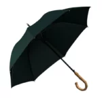 Parapluie homme élégant vert avec poignée en bambou, design raffiné et durable, idéal pour un style intemporel par temps de pluie.