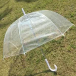 Parapluie transparent avec poignée blanche sur gazon, protection élégante contre la pluie en maintenant une parfaite visibilité.
