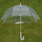 Parapluie transparent avec poignée blanche sur pelouse verte, design minimaliste et élégant, idéal pour tous les styles et saisons.