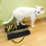 Parapluie XXL résistant noir et jaune replié avec étui, posé sur sol en bois clair, mur vert en arrière-plan, chat blanc à côté.