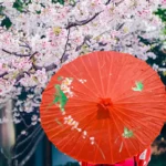 Parapluie japonais vintage rouge fleuri, accessoire élégant sous un cerisier en fleurs, idéal pour un style raffiné et unique.
