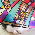 Parapluie transparent poignée canne, design élégant vitré, protège un chat au sol dans une ambiance artistique et chaleureuse.
