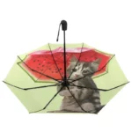 Parapluie anti-UV chaton mignon avec pastèque, fond vert clair, accessoire original et pratique pour se protéger du soleil et de la pluie.