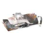 Parapluie anti-UV robuste avec motifs uniques, idéal pour protection solaire et pluie. Découvrez la collection Paraluieo.