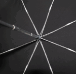 Parapluie femme thème fleuri, élégant et pratique, structure robuste noire avec baleines blanches, design moderne de la collection.