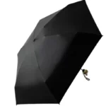 Petit parapluie grenouille, compact et original, parfait pour se protéger de la pluie avec style et praticité.