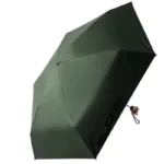 Petit parapluie grenouille vert, compact et élégant, idéal pour la pluie, avec finitions soignées et design original.