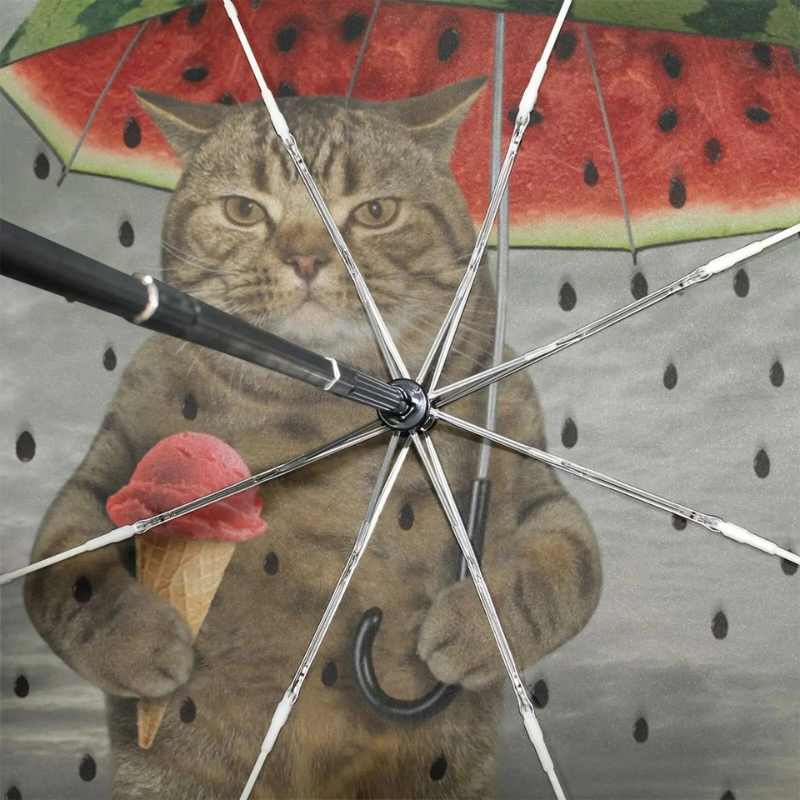 Parapluie original avec motifs rigolos : chat, parapluie pastèque, glace framboise, et gouttes de pluie en arrière-plan.