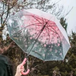 Parapluie transparent fleuri avec motifs roses, élégant et pratique, parfait pour les jours de pluie, en fond naturel flou.