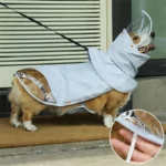 Manteau de pluie pour chien avec col, visière intégrée et détails réfléchissants. Protège efficacement contre la pluie. Convient à toutes races.