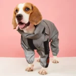 Beagle heureux avec combinaison imperméable manches longues grise, idéale contre la pluie. Fond rose. Parfaite pour [Collection].