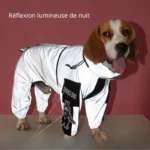 Beagle avec combinaison imperméable gris manches longues, réfléchissante, étiquette 'Service Dog', sur fond rose.