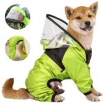 Chien portant une combinaison imperméable intégrale verte avec capuche et visière, idéale pour une protection totale sous la pluie.