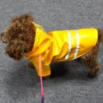 Chien de petite taille avec imperméable jaune à boutons-pression et bandes réfléchissantes, idéal pour rester au sec par temps de pluie.