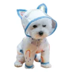 Petit chien blanc avec imperméable PVC transparent et liseré bleu ciel, motifs pluie et arc-en-ciel, protection stylée contre la pluie.