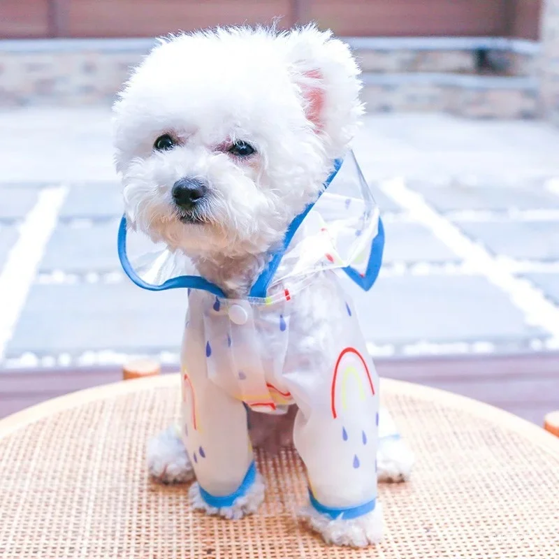 Chien avec imperméable PVC transparent liseré bleu ciel, protection pluie mode, idéal balade, design motif pluie et arc-en-ciel.