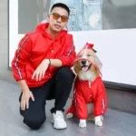 Chien portant imperméable rouge dinosaure avec capuche intégrée, idéal pour protéger votre animal sous la pluie avec style.