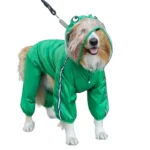 Chien avec imperméable vert grenouille et rouge dinosaure, capuche intégrée, parfait pour la pluie et style amusant.