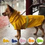 Chien avec imperméable jaune sous la pluie, gamme d'imperméables multicolores pour chiens en arrière-plan.