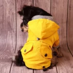 Petit chien noir et brun portant un imperméable jaune avec capuche intégrée, sur un fond en bois, tenue stylée et pratique.