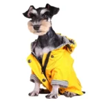 Petit chien portant un imperméable jaune avec capuche intégrée, design moderne et super qualité, parfait pour les jours de pluie.