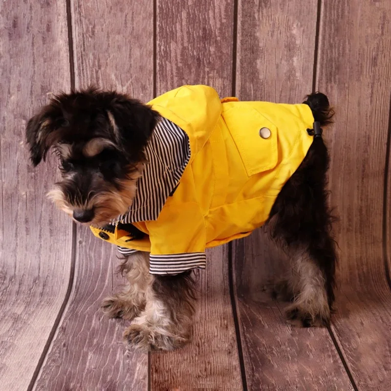 Petit chien avec un imperméable jaune à capuche intégrée et col rayé, debout sur un sol en bois, parfait pour rester au sec.