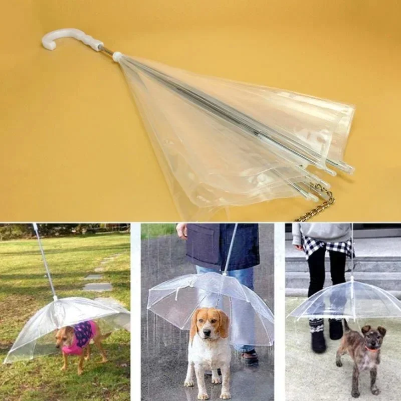 Parapluie laisse pour chien avec mât blanc, transparent, pratique pour protéger votre animal de la pluie lors des promenades.