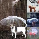 Laisse-parapluie blanche pour chiens avec mât transparent, idéale pour promenades sous la pluie. Accessoire pratique et moderne.