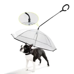 Chien sous un parapluie transparent avec bordure noire et laisse intégrée, idéal pour les promenades sous la pluie.