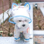 Petit chien blanc portant un imperméable PVC transparent liseré bleu ciel avec motifs pluie, idéal contre les intempéries.