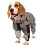 Beagle avec combinaison imperméable grise à manches longues, idéale pour protéger votre chien de la pluie avec style et confort.