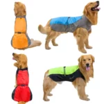 Chiots golden retrievers avec manteaux imperméables colorés (orange, bleu, rouge, vert), stylés et protégés contre la pluie.