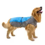 Golden retriever portant un imperméable sans manche gris et bleu, pratique et confortable pour protéger les chiens par temps de pluie.