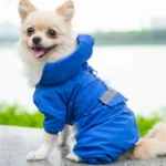 Chien avec veste imperméable bleue à capuche et manches longues, parfait pour petits chiens et chats, mode pratique sous la pluie.