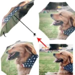 Parapluie chien manuel à motifs pattes, collection chic, ouvert au-dessus d'un Golden Retriever assis, heureux et souriant.