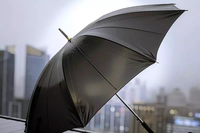 Beau tissu noir de parapluie canne !