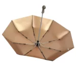 Parapluie homme robuste et élégant avec structure octogonale dorée, parfait pour une protection stylée contre la pluie.
