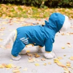Anorack imperméable bleu pour petit chien.