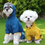 Anorack jaune et bleu pour petit chien