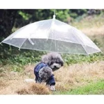 Parapluie transparent avec laisse intégrée pour petit chien.