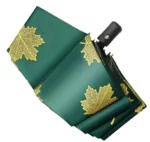 Magnifique parapluie automatique vert avec feuilles.