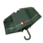 Parapluie vert compact avec motifs de cœurs rouge et blanc, élégant et pratique pour une protection efficace sous la pluie.