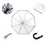 Très beau parplauie trnasparent pour chien, tous les détails.