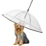 Très beau parapluie pour chine avec laisse intégrée et bras plus poignée