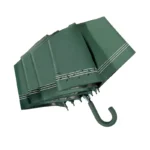 Joli parapluie canne, thème : notes de musiques, solide et magnifique, vert.