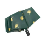Beau parapluie vert automatique de qualité.