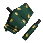 Joli parapluie vert automatique de qualité certaine.